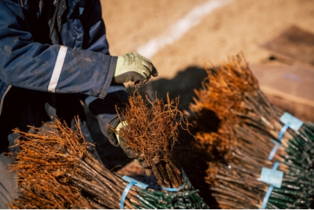 Na Světový Den Země nahlédneme Do Vinic