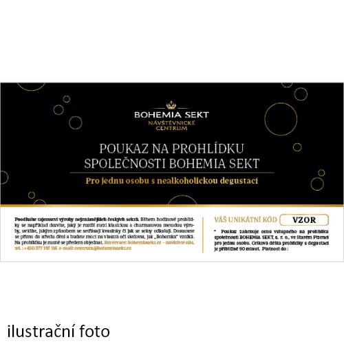 Prohlídka společnosti BOHEMIA SEKT s nealkoholickou degustací - tištěná poukázka