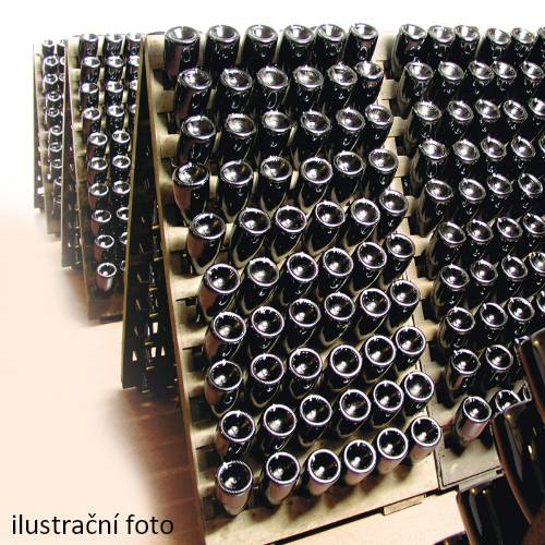 Prohlídka společnosti BOHEMIA SEKT s nealkoholickou degustací - elektronická poukázka