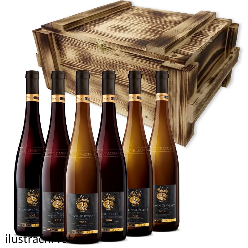 Balíček nejlepších vín z Habánských sklepů v luxusním dřevěném boxu